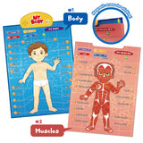 Muscle Poster at i-Poster: My Body - BEST LEARNING