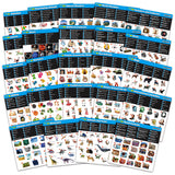 24 cards on Connectrix - BEST LEARNING